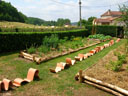 potager-ligne<br/>© becheau-bourgeois